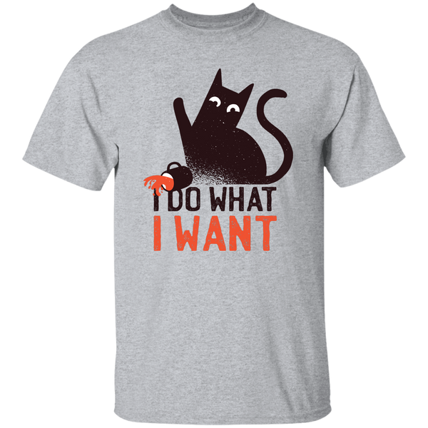 I Do What I Want T-Shirt